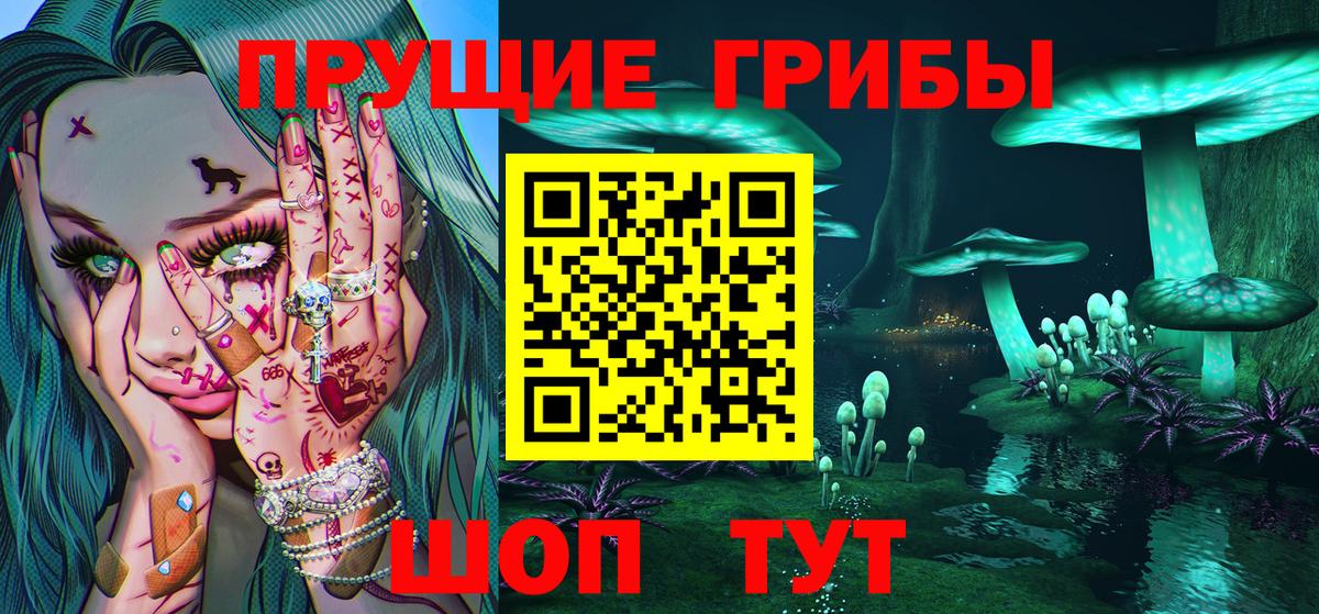 Галлюциногенные грибы ЛСД  цены   Вход с VPN  Можга  Галлюциногенные грибы Psilocybe 